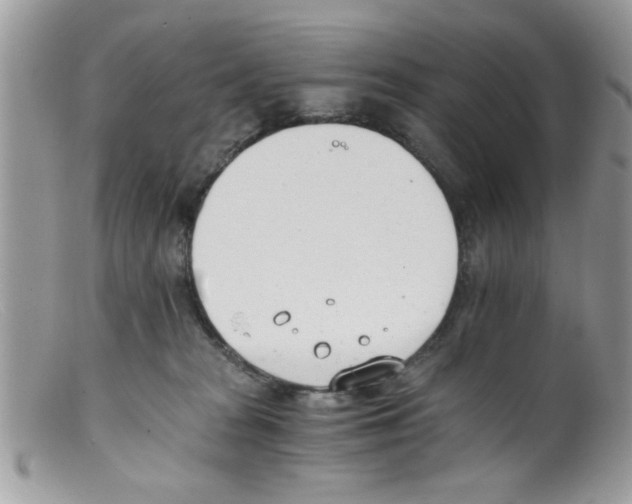 X0000098140277200805151148