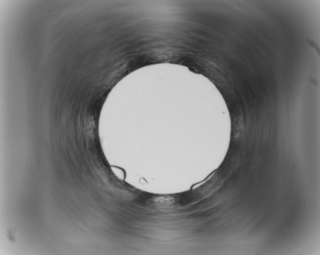 X0000098140279200805151148