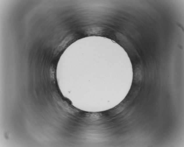 X0000098140282200805151148