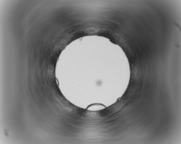 X0000098140283200805151148