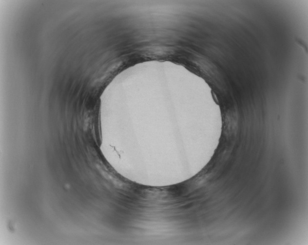 X0000098140284200805151148