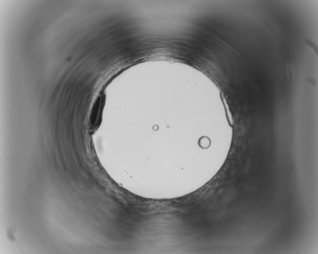 X0000098140289200805151147