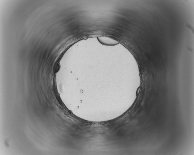 X0000098140290200805151147