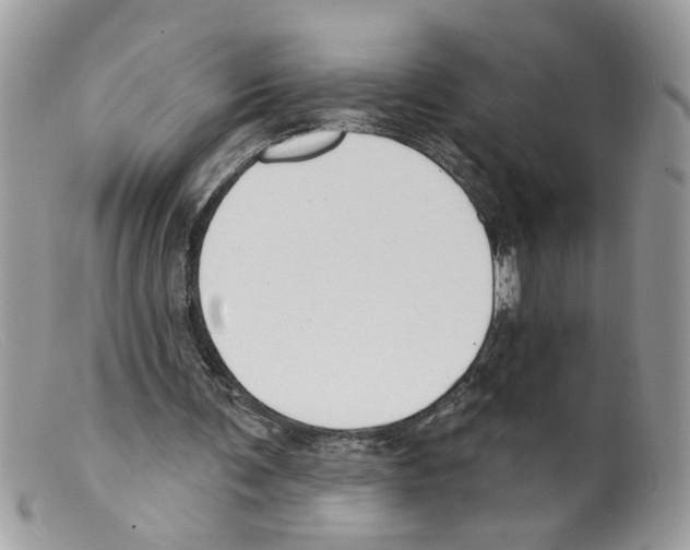 X0000098140291200805151147