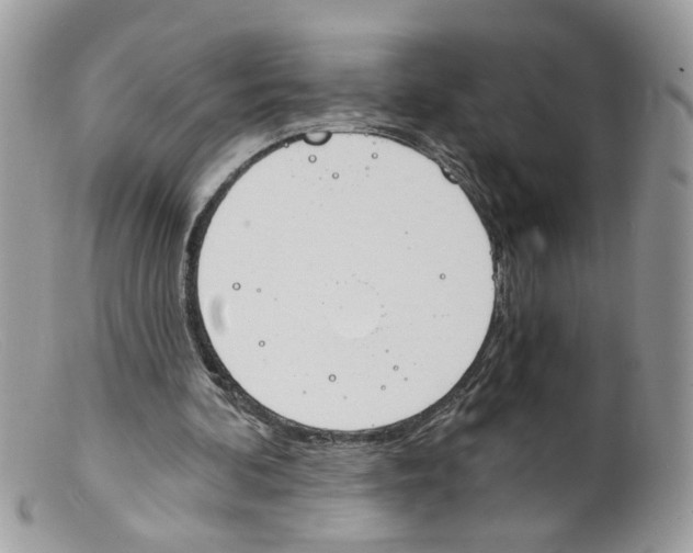 X0000098140292200805151147