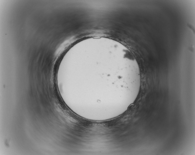 X0000098140296200805151147