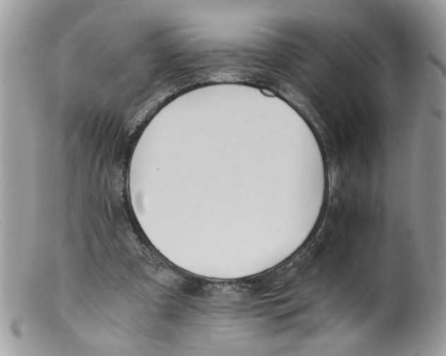 X0000098140297200805151147