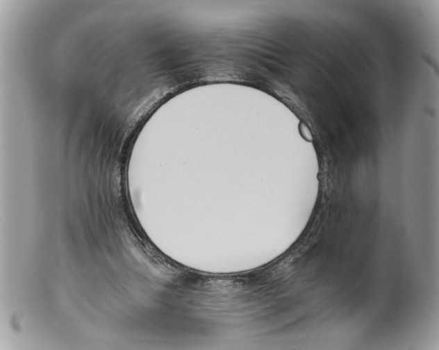 X0000098140298200805151147