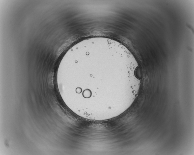 X0000098140299200805151147