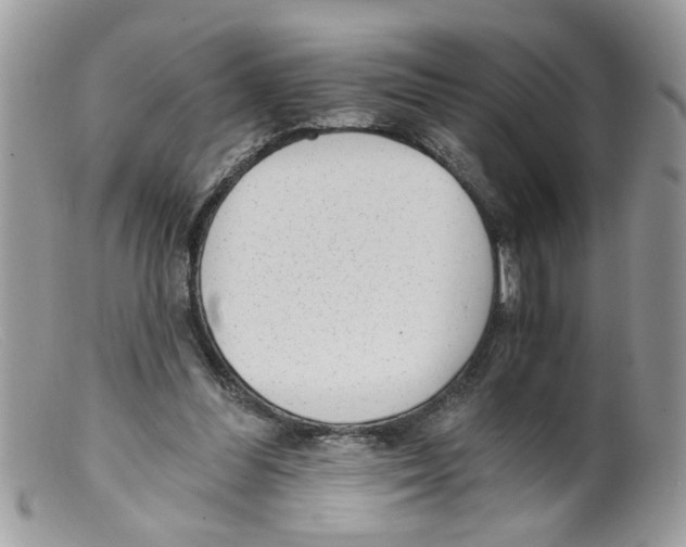 X0000098140300200805151147