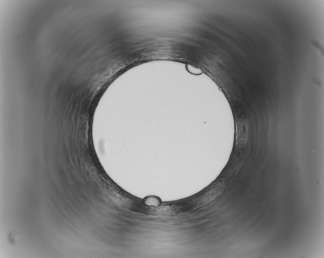 X0000098140301200805151147