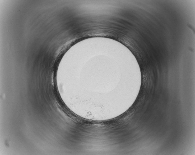 X0000098140302200805151147