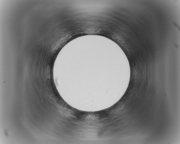 X0000098140303200805151147