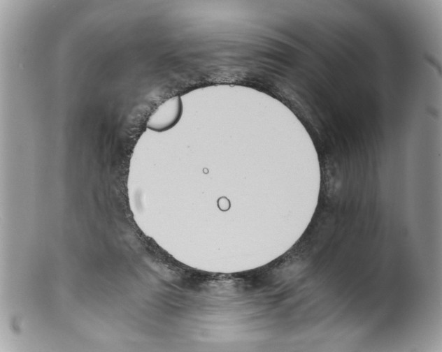 X0000098140307200805151147