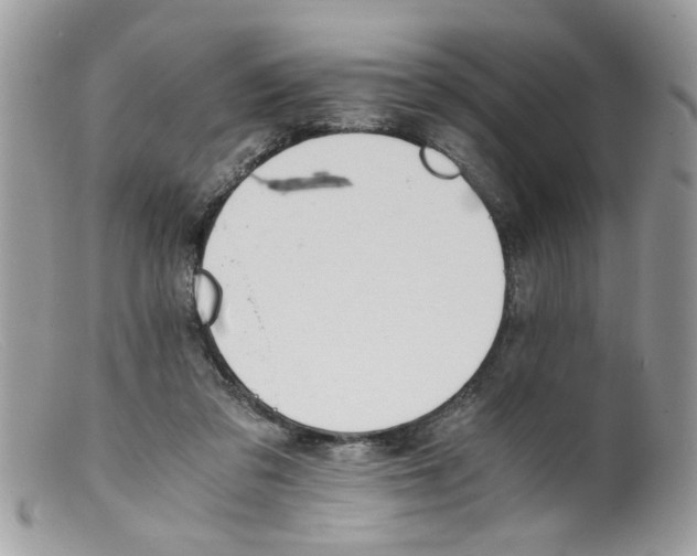 X0000098140309200805151147