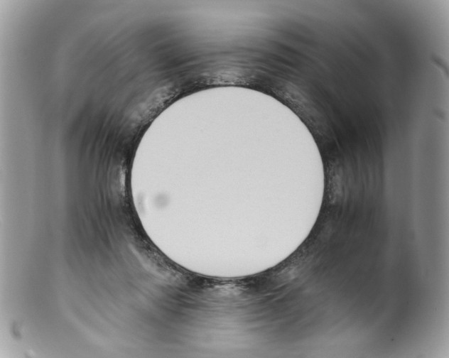 X0000098140310200805151147