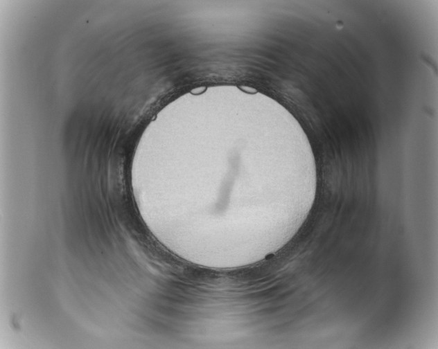 X0000098140312200805151147