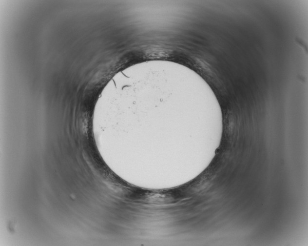 X0000098140315200805151147