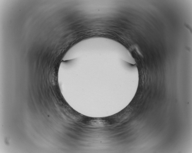 X0000098140316200805151147