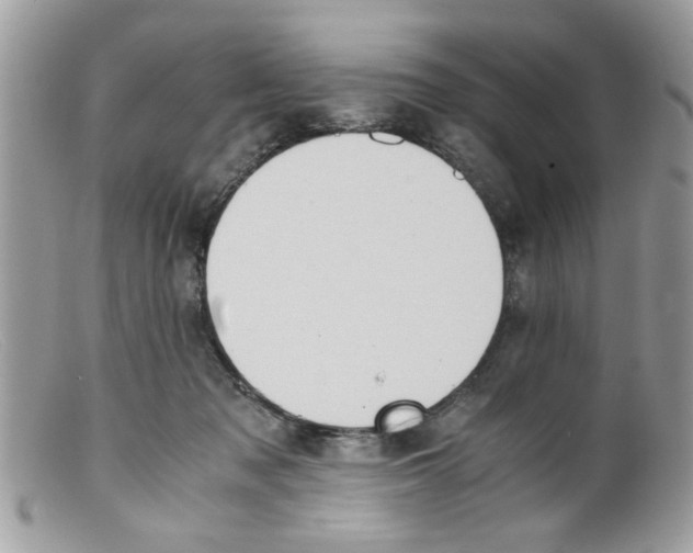 X0000098140317200805151147