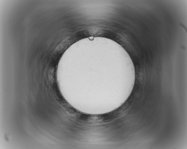 X0000098140319200805151147