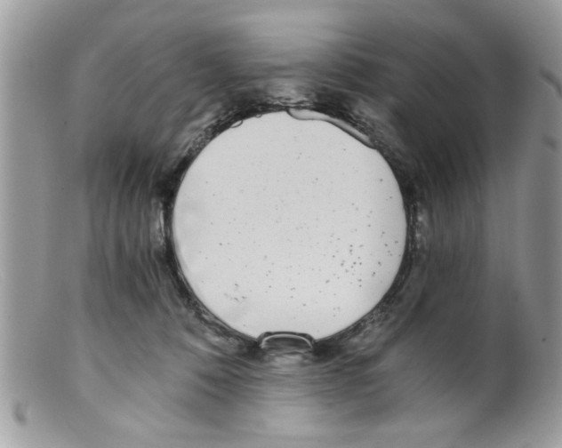 X0000098140320200805151147