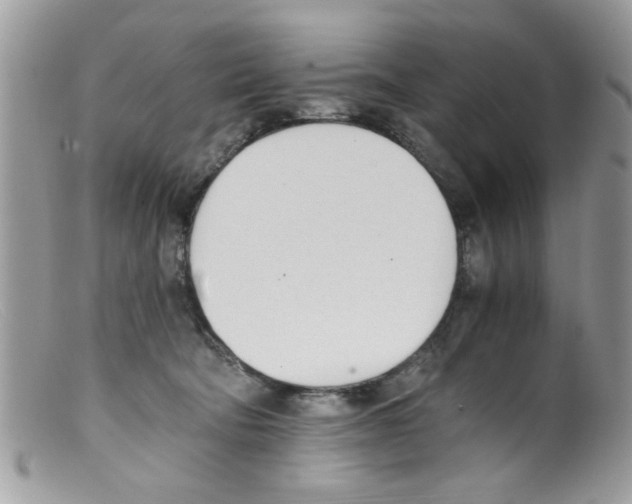 X0000098140322200805151147