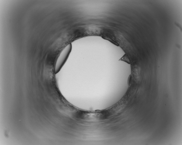 X0000098140323200805151147