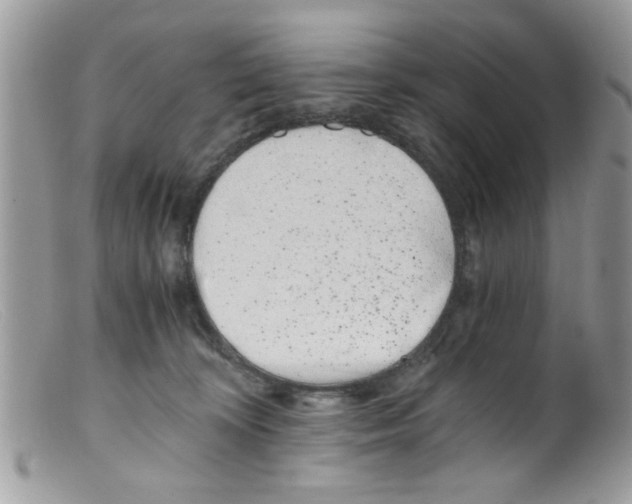 X0000098140324200805151147