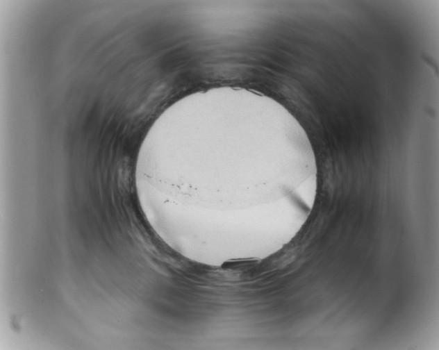 X0000098140328200805151147