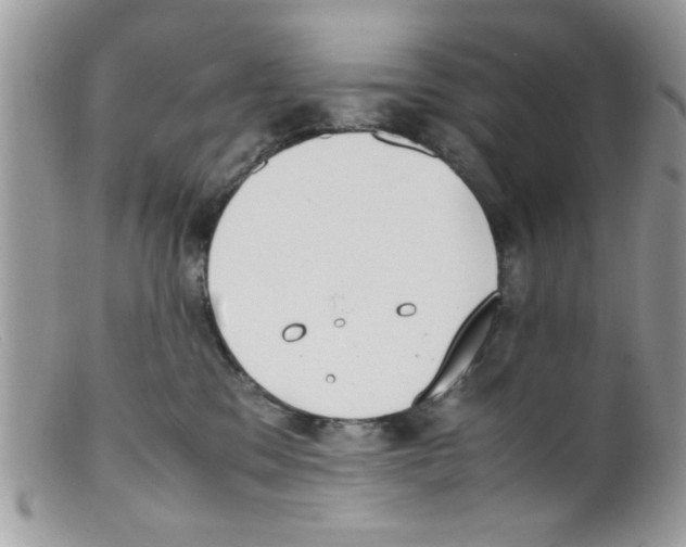 X0000098140329200805151147