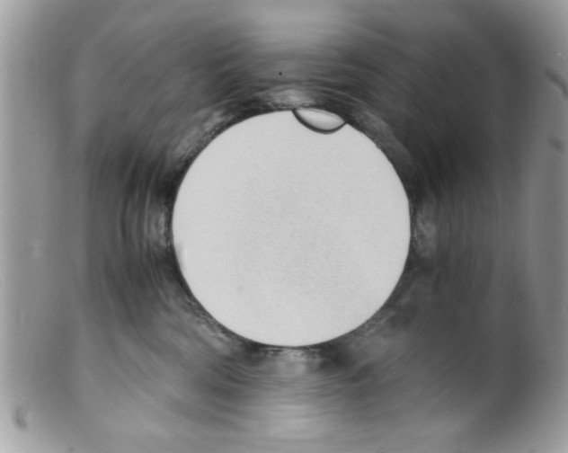 X0000098140330200805151147