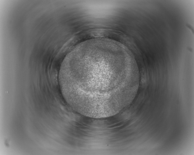 X0000098140332200805151147