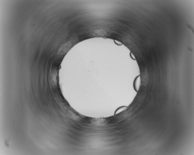 X0000098140334200805151147