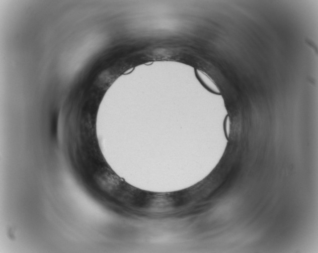 X0000098140335200805151147