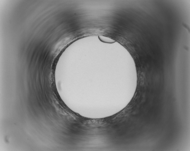 X0000098140338200805151145