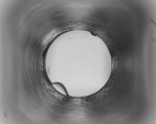 X0000098140339200805151146