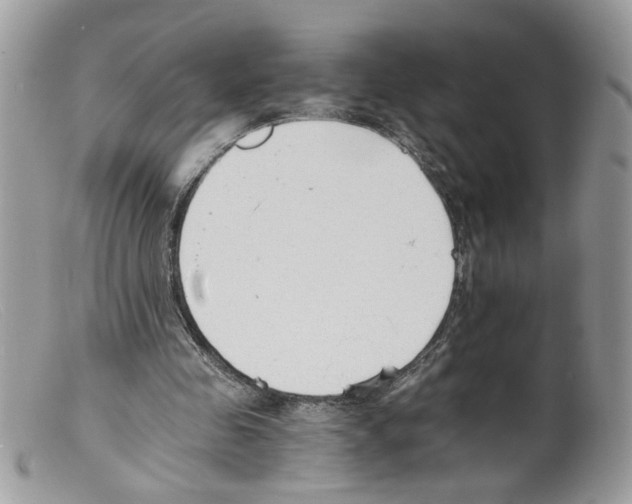 X0000098140341200805151146