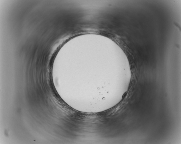 X0000098140342200805151146