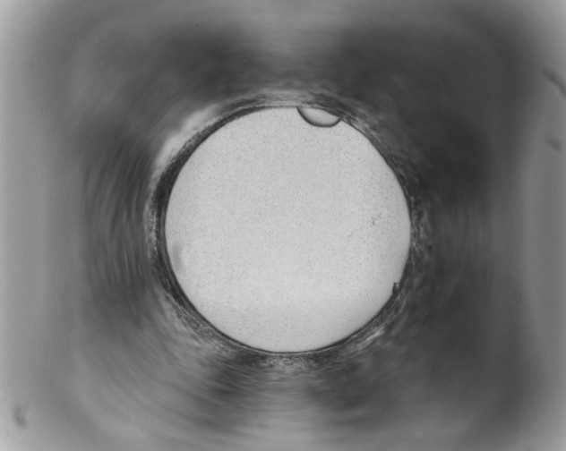 X0000098140343200805151146