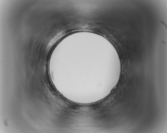 X0000098140344200805151146