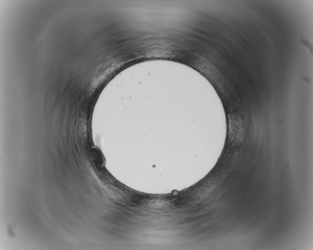 X0000098140348200805151146