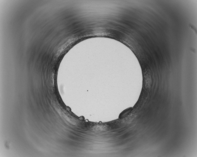 X0000098140350200805151146