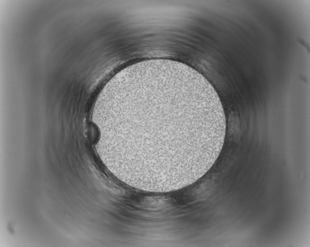 X0000098140351200805151146