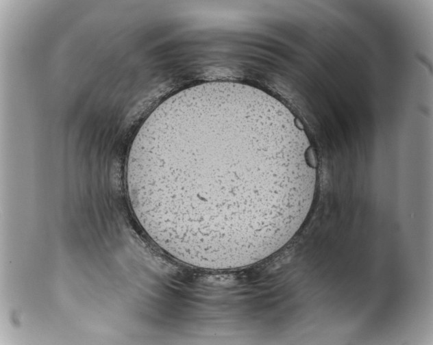 X0000098140353200805151146