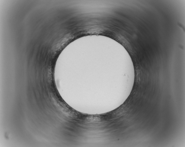 X0000098140354200805151146