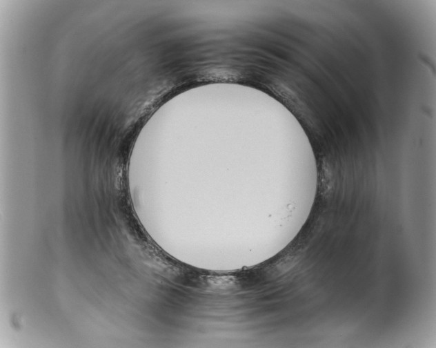 X0000098140355200805151146