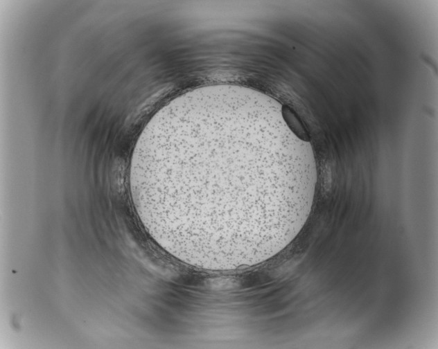 X0000098140356200805151146