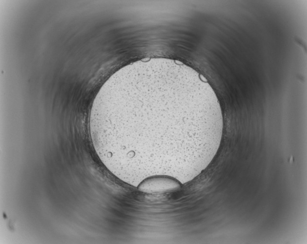 X0000098140357200805151146