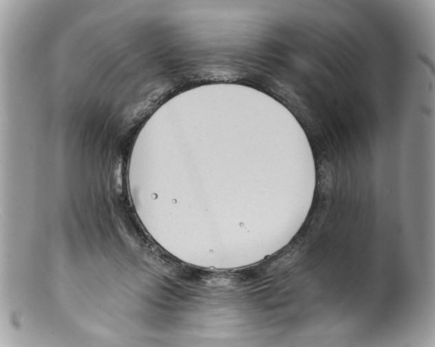 X0000098140358200805151146